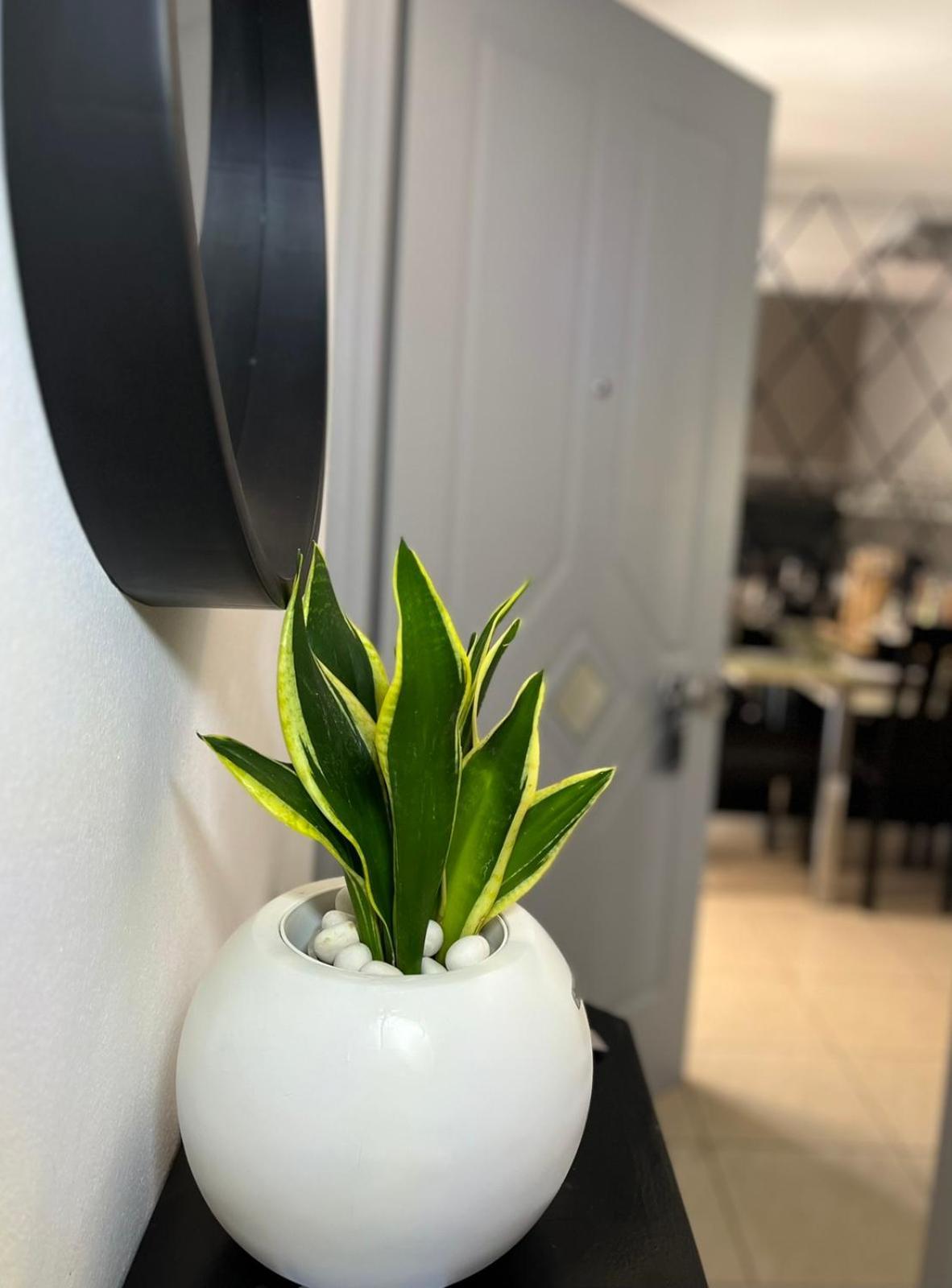 Diamond City Lux Apartment Аргостолион Екстериор снимка