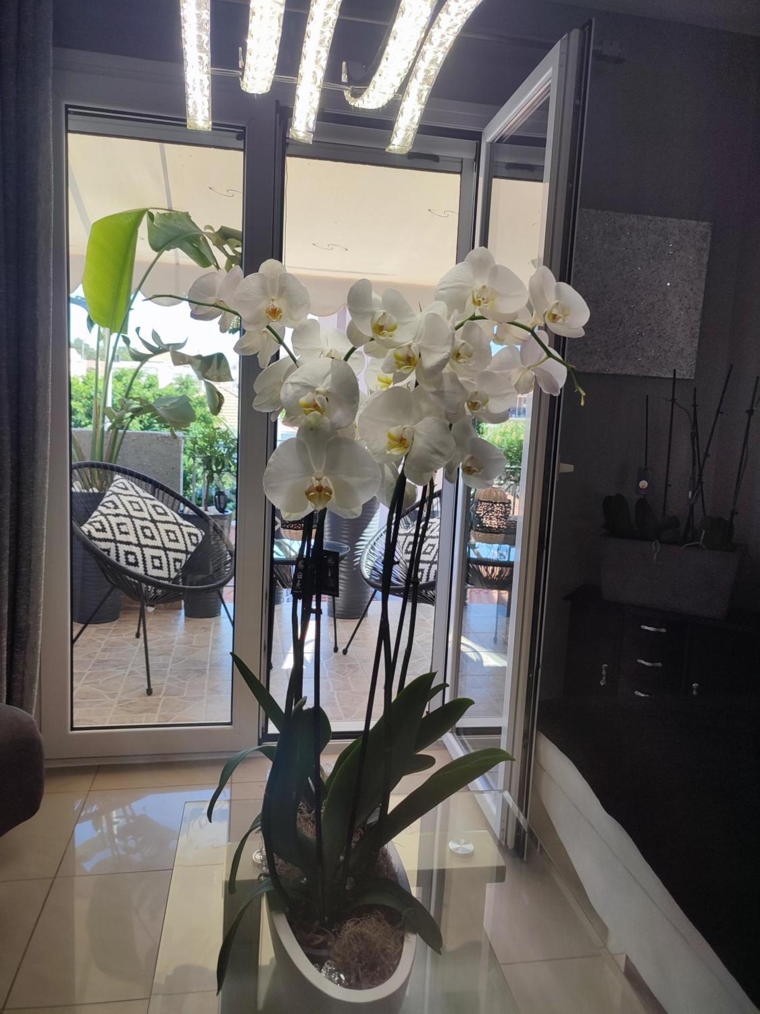 Diamond City Lux Apartment Аргостолион Екстериор снимка